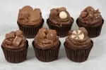 Chocolate Collection Cupcakes