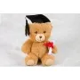 Graduation Bear