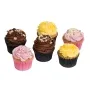 Strawberry Lemon and Chocolate 1