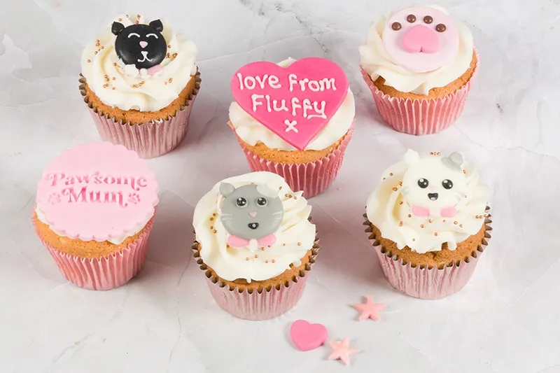 Pawsome Mum Cupcakes