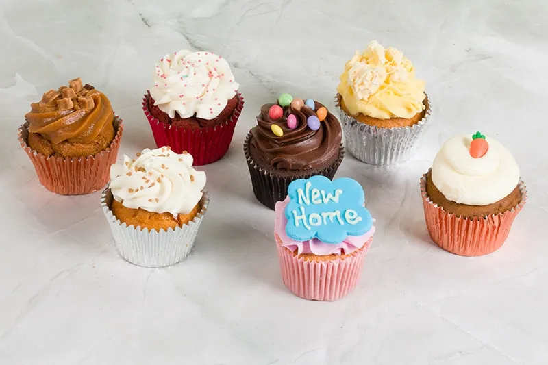 Party Collection New Home Cupcakes